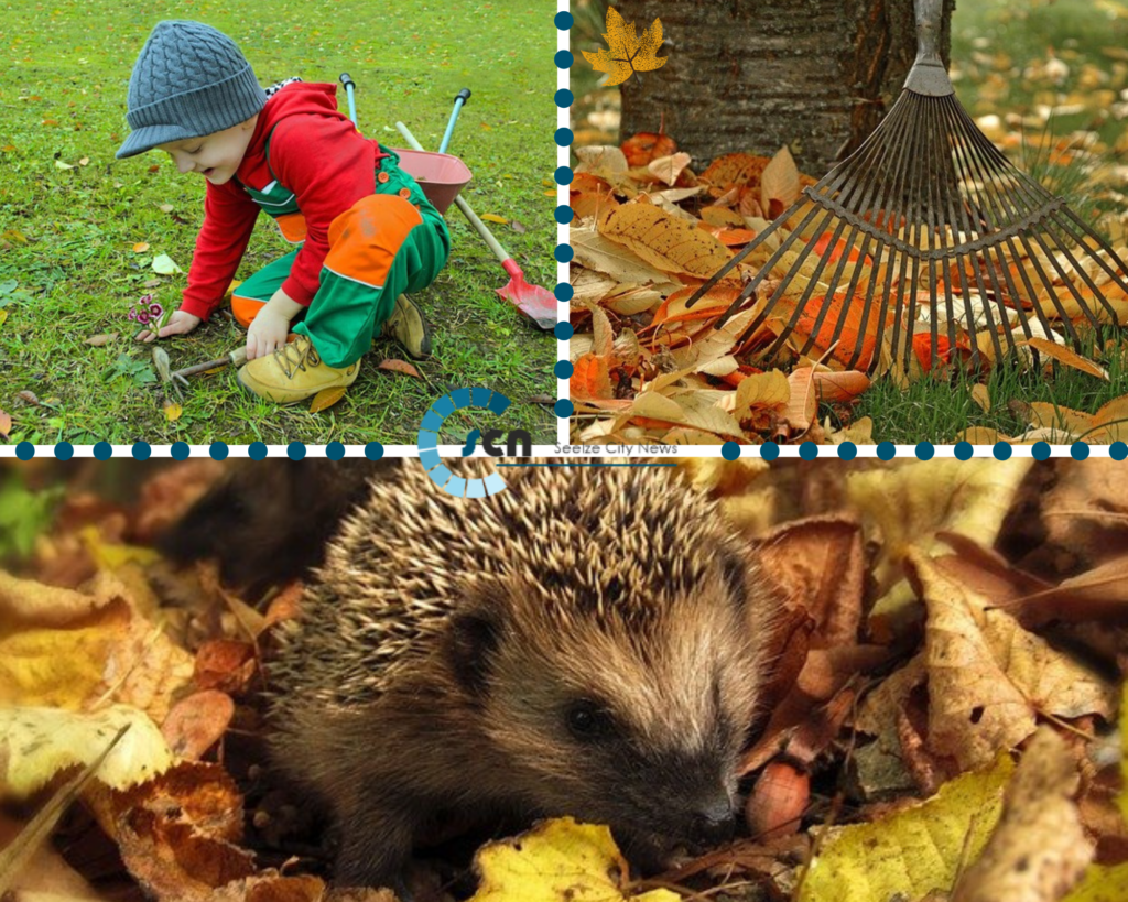 Gartenarbeiten im Oktober Das ist besonders wichtig Seelze City News