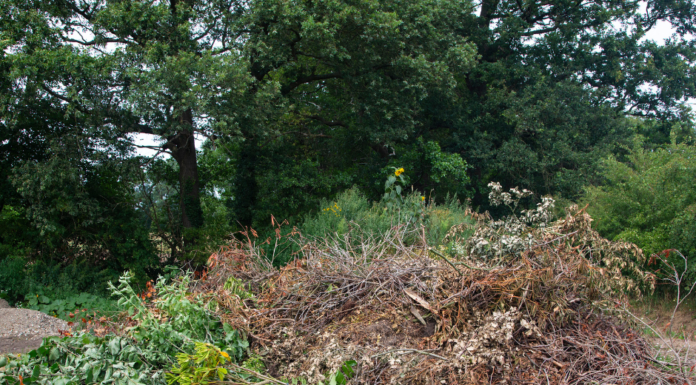 Die städtische Grüngut-Annahmestelle in Letter öffnet wieder