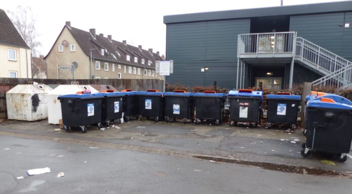 Papiercontainer bei der Wertstoffinsel