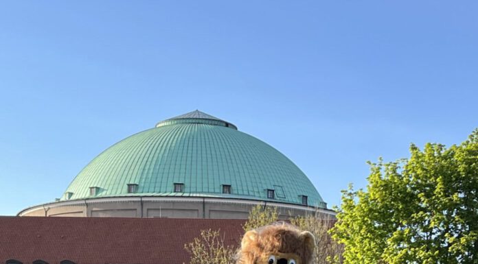Das Jugendrotkreuz-Maskottchen freut sich über viele Besucherinnen und Besucher und braucht noch einen neuen Namen. Ideen können auf dem Familienfest eingereicht werden,