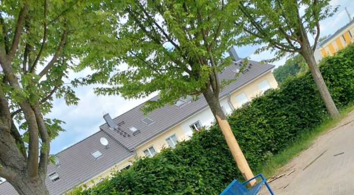Unbekannte beschädigten Bäume in Seelze Süd - Wer kann Hinweise geben?