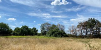 Dirtpark in Dedensen – Stadt Seelze stellt Entwurf am 26. Juni 2023 vor