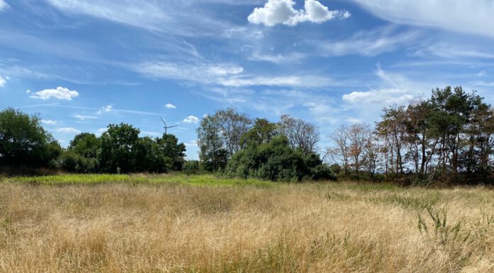 Dirtpark in Dedensen – Stadt Seelze stellt Entwurf am 26. Juni 2023 vor