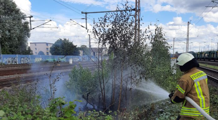 Feuerwehreinsatz an Heimstättenbrücke: Böschungsbrand erfolgreich eingedämmt.