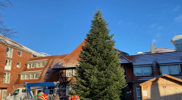Eine prächtige Nordmanntanne schmückt den Platz Alter Krug in Seelze