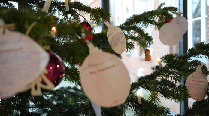 Wunschbaum-Aktion - Viele Wünsche sind bereits erfüllt, 50 Wünsche warten noch