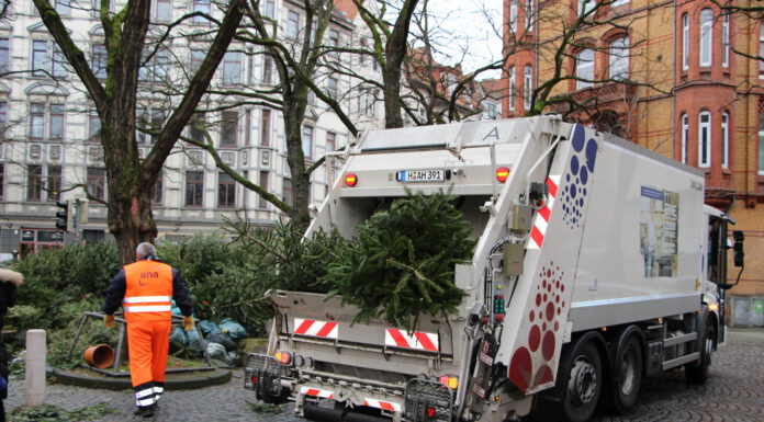 Tannenbaumabholung an den Bioabfuhrtagen vom 8.01. bis 19.01.2024