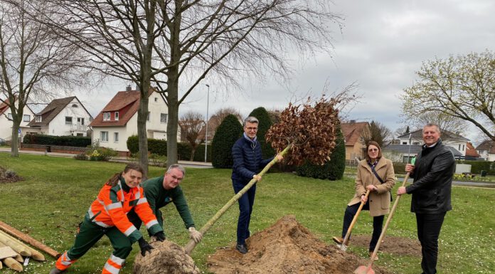 Stadt Seelze startet Baumpflanzaktion am Denkmalsplatz in Lohnde - 200 junge Bäume in den nächsten Monaten