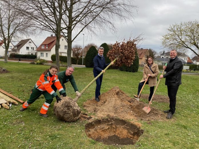 Stadt Seelze startet Baumpflanzaktion am Denkmalsplatz in Lohnde - 200 junge Bäume in den nächsten Monaten