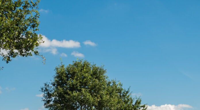 Fahrplanänderung zum Schulstart: Anpassungen bezüglich der Fahrzeiten