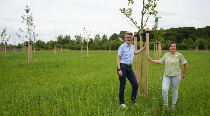 114 Obstbäume bilden den ökologischen Ausgleich für neue Schulgebäude
