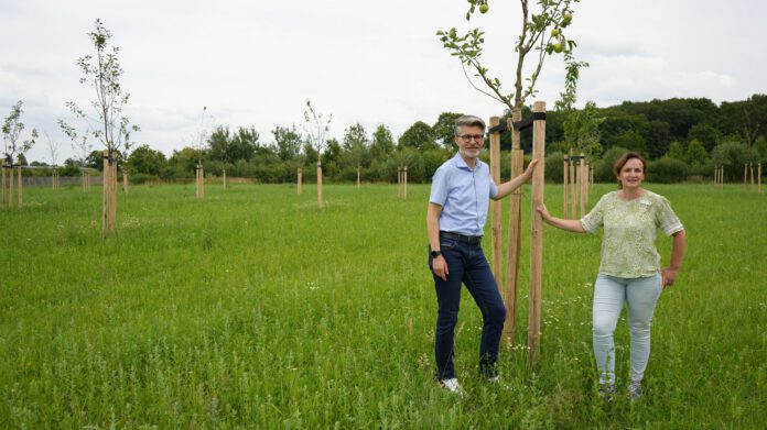 114 Obstbäume bilden den ökologischen Ausgleich für neue Schulgebäude