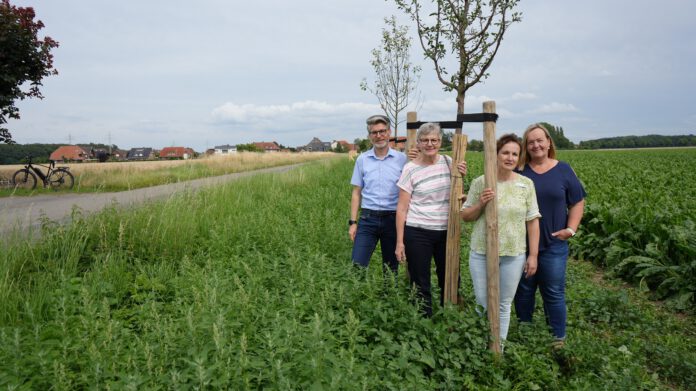 18 Obstbäume und 103 Sträucher werten Feldrand bei Almhorst auf