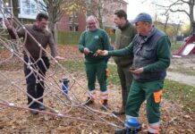 Städtische Spielplätze: Prüfer bestätigt guten Zustand und hebt hohe Sicherheitsstandards bei der Jahreskontrolle hervor.