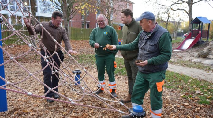 Städtische Spielplätze: Prüfer bestätigt guten Zustand und hebt hohe Sicherheitsstandards bei der Jahreskontrolle hervor.