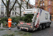 Weihnachtsbäume abholen: So funktioniert es