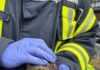 Die Rettung von zwei Staren durch die Ortsfeuerwehr Seelze zeigt den Einsatz für Tiere in Not und die Zusammenarbeit mit Garbsen