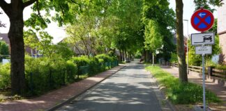 Die Baumpflegearbeiten in der Goethestraße führen zu Sperrungen und Halteverboten am 12. und 13. Mai. Verständnis wird erbeten