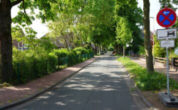Die Baumpflegearbeiten in der Goethestraße führen zu Sperrungen und Halteverboten am 12. und 13. Mai. Verständnis wird erbeten