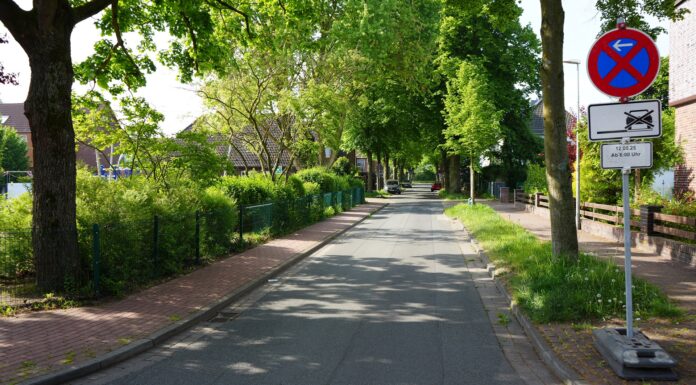 Die Baumpflegearbeiten in der Goethestraße führen zu Sperrungen und Halteverboten am 12. und 13. Mai. Verständnis wird erbeten