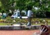 Die Sommerpflanzen am Obentrautdenkmal bringen fröhliche Akzente in die Stadt und bieten Insekten eine Nahrungsquelle