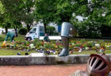 Die Sommerpflanzen am Obentrautdenkmal bringen fröhliche Akzente in die Stadt und bieten Insekten eine Nahrungsquelle