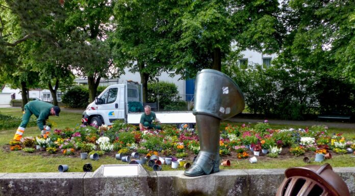 Die Sommerpflanzen am Obentrautdenkmal bringen fröhliche Akzente in die Stadt und bieten Insekten eine Nahrungsquelle