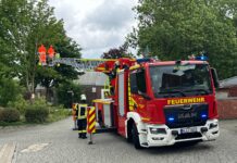 Der Einsatz der Ortsfeuerwehr Seelze zur Beseitigung eines umgestürzten Baums nach Sturmböen zeigt die schnelle Reaktion der Einsatzkräfte