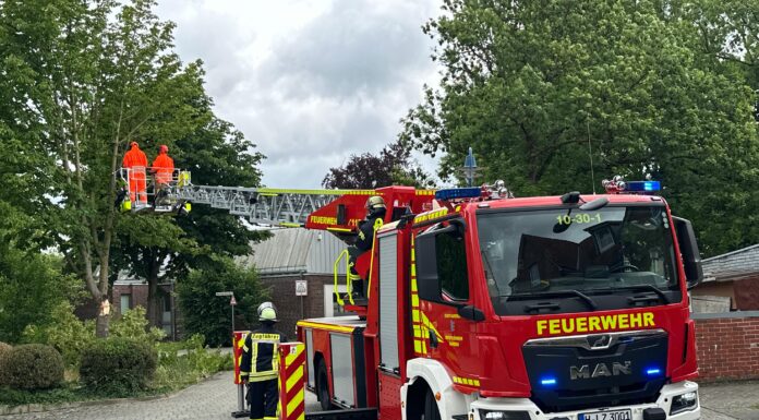 Der Einsatz der Ortsfeuerwehr Seelze zur Beseitigung eines umgestürzten Baums nach Sturmböen zeigt die schnelle Reaktion der Einsatzkräfte