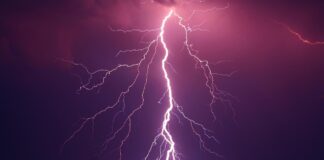 Der Ideenwettbewerb bietet kreative Ideen für den Klimaschutz und fördert das Engagement von Schulen und Kitas