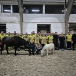Feuerwehr Seelze trainiert Tierrettung mit Pferden und Ponys Die Feuerwehr Seelze trainiert Tierrettung mit Pferden und Ponys und erlernt wichtige Sicherheitsmaßnahmen auf der Reitanlage