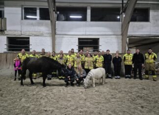 Die Feuerwehr Seelze trainiert Tierrettung mit Pferden und Ponys und erlernt wichtige Sicherheitsmaßnahmen auf der Reitanlage