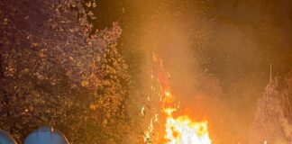 Feuerwehr muss Gartenlaube löschen. Nächtlicher Einsatz in Kleingartenanlage. Brandursache wird von der Kriminalpolizei ermittelt