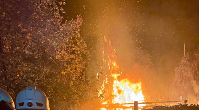 Feuerwehr muss Gartenlaube löschen, nächtlicher Einsatz in Kleingartenanlage Feuerwehr muss Gartenlaube löschen. Nächtlicher Einsatz in Kleingartenanlage. Brandursache wird von der Kriminalpolizei ermittelt
