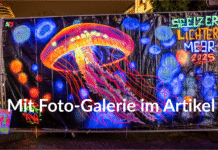 Freitagabend war es wieder so weit: Das Seelzer Lichtermeer zieht viele Besucher an und bietet ein tolles Programm voller Überraschungen