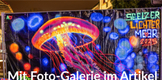 Freitagabend war es wieder so weit: Das Seelzer Lichtermeer zieht viele Besucher an und bietet ein tolles Programm voller Überraschungen