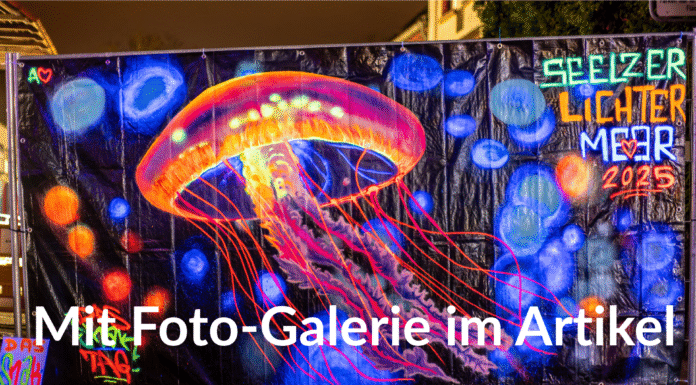 Seelze erstrahlt im Lichtermeer: Ein unvergessliches Event für alle Besucher Freitagabend war es wieder so weit: Das Seelzer Lichtermeer zieht viele Besucher an und bietet ein tolles Programm voller Überraschungen