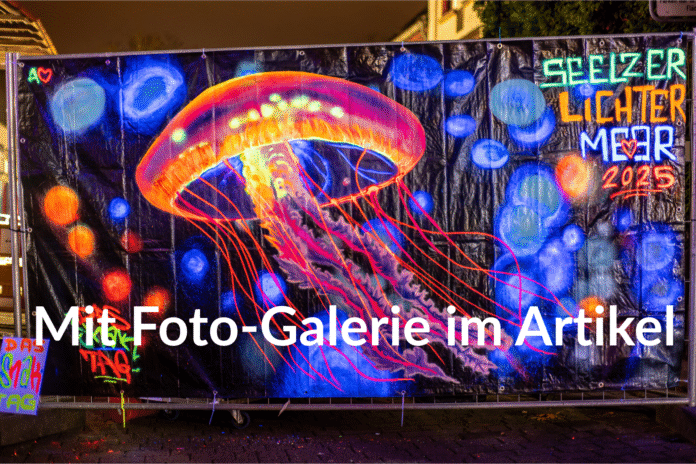 Das Lichtermeer zieht jedes Jahr Menschen an und bietet ein buntes Programm voller Überraschungen Freitagabend war es wieder so weit: Das Seelzer Lichtermeer zieht viele Besucher an und bietet ein tolles Programm voller Überraschungen