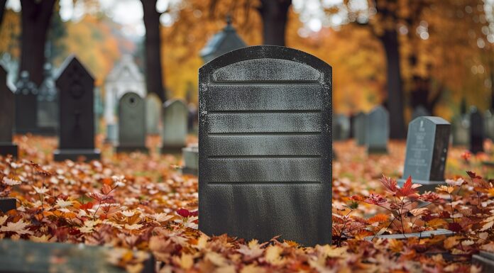 Volkstrauertag: Gedenkfeiern in allen Stadtteilen geplant Am Volkstrauertag finden Gedenkfeiern in allen Stadtteilen statt. Kranzniederlegungen und Ansprachen sind geplant