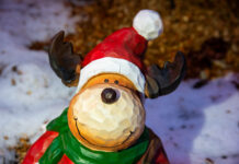 Advents- und Weihnachtsmärkte in den Ortsteilen stimmen auf das Fest ein und bieten eine festliche Atmosphäre