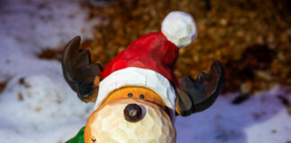 Advents- und Weihnachtsmärkte in den Ortsteilen stimmen auf das Fest ein und bieten eine festliche Atmosphäre