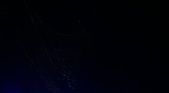 Ein Verletzter bei Schiffsbrand am Silvesterabend in Seelze. Feuerwehr und Rettungsdienst im Einsatz