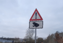 Die Krötenwanderung beginnt: Stadt Seelze ruft zu erhöhter Aufmerksamkeit auf und bittet um Rücksichtnahme im Straßenverkehr