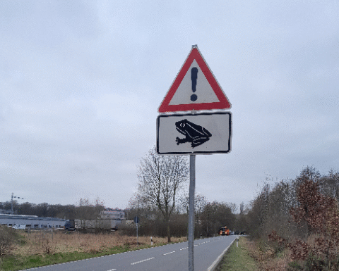 Krötenwanderung beginnt: Stadt Seelze ruft zu erhöhter Aufmerksamkeit auf Die Krötenwanderung beginnt: Stadt Seelze ruft zu erhöhter Aufmerksamkeit auf und bittet um Rücksichtnahme im Straßenverkehr