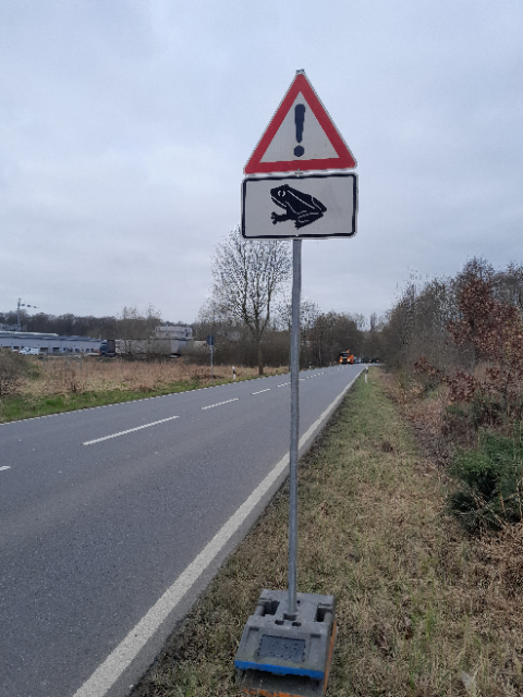 Die Krötenwanderung beginnt: Die Stadt Seelze bittet alle Verkehrsteilnehmenden dazu auf, in besonders aufmerksam zu sein und in beschilderten Bereichen maximal 30 Stundenkilometer zu fahren Die Krötenwanderung beginnt: Stadt Seelze ruft zu erhöhter Aufmerksamkeit auf und bittet um Rücksichtnahme im Straßenverkehr