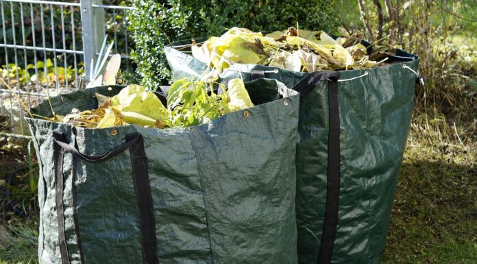 Grüngut-Annahmestelle öffnet wieder – Entsorgung von Baum- und Strauchschnitt möglich Grüngut-Annahmestelle öffnet wieder: Ab dem 6. März können Baum- und Strauchschnitt sowie Laub entsorgt werden