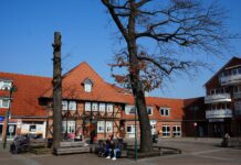 Alte Eiche wird gefällt: Verkehrssicherheit steht im Vordergrund, neue Eiche wird auf dem Platz Alter Krug gepflanzt