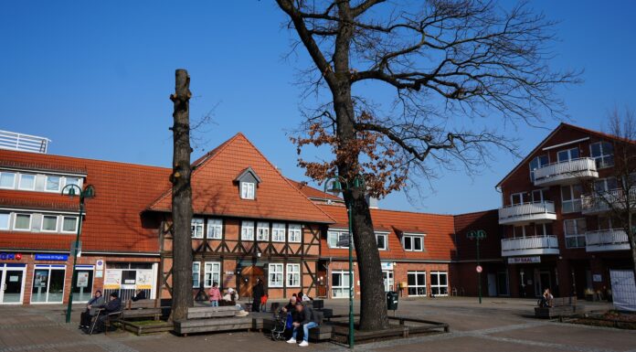 Alte Eiche wird gefällt: Verkehrssicherheit steht im Vordergrund, neue Eiche für den Platz Alter Krug Alte Eiche wird gefällt: Verkehrssicherheit steht im Vordergrund, neue Eiche wird auf dem Platz Alter Krug gepflanzt