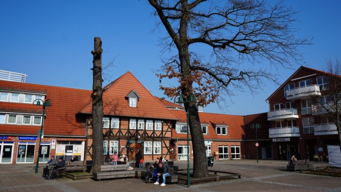 Unvermeidliche Baumfällung: Die westlich stehende Eiche (links) auf dem Platz Alter Krug ist abgestorben Alte Eiche wird gefällt: Verkehrssicherheit steht im Vordergrund, neue Eiche wird auf dem Platz Alter Krug gepflanzt