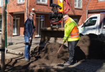Neue Eiche bringt Herz zurück: Am Alten Krug ersetzt ein junger Baum die abgestorbene und Anfang März gefällte alte Eiche